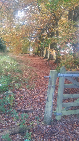 Loch Leven in Autumn